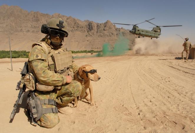Aussie in Afghanistan