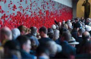 Crowds placing poppies on the wall.