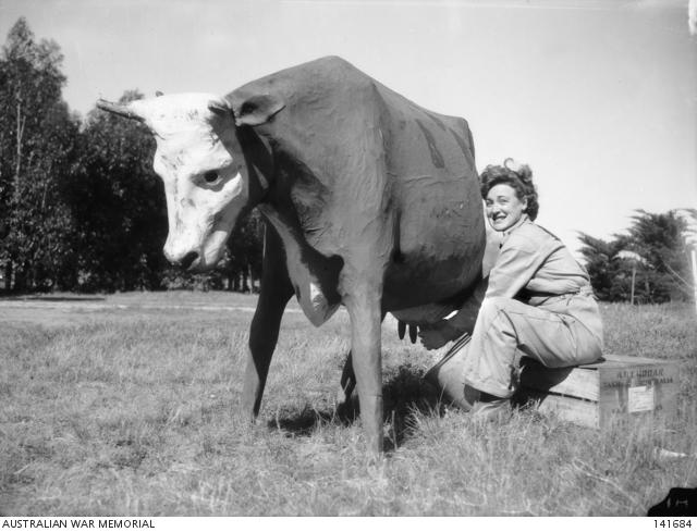 Learning to milk on a dummy cow made of papier-mache.