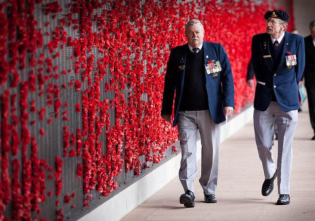 Poppies on the Roll of Honour.